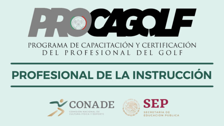 Profesional de la Instrucción