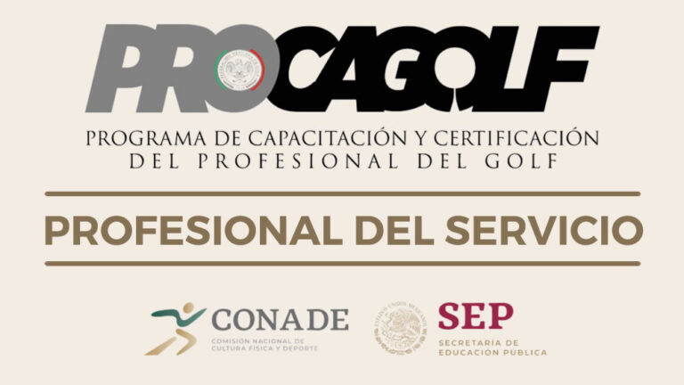 Profesional del Servicio